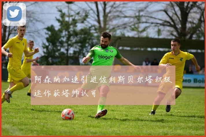阿森纳加速引进佐利斯贝尔塔积极运作获塔帅认可