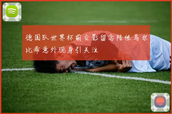 德国队世界杯前合影留念陪练乌尔比希意外现身引关注